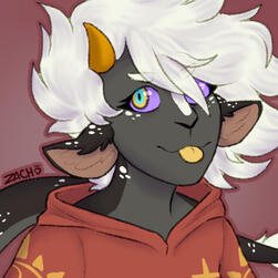 Raffle Prize